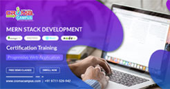 MERN Stack Online Training