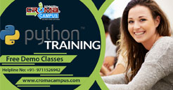 Python Training