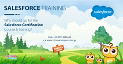 Salesforce Training