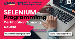 Selenium Training