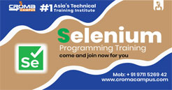 Selenium Training