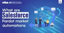 Salesforce Pardot Market Automation
