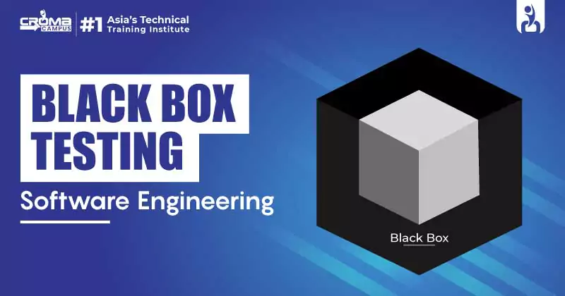 Black Box Testing in Software Engineering