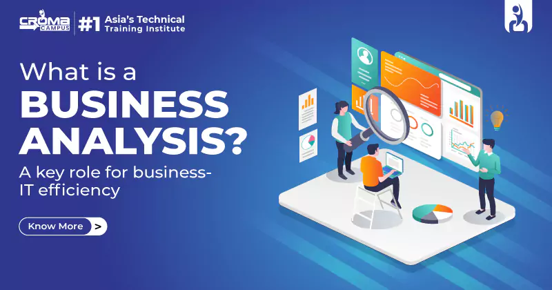 What is Business Analysis