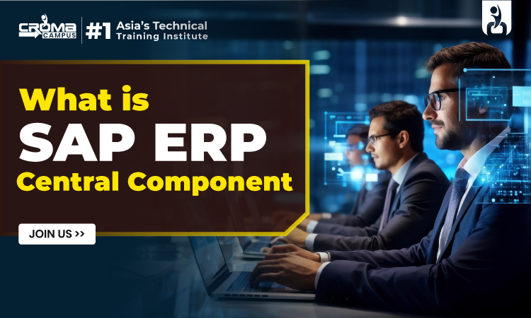 SAP ERP Central Component