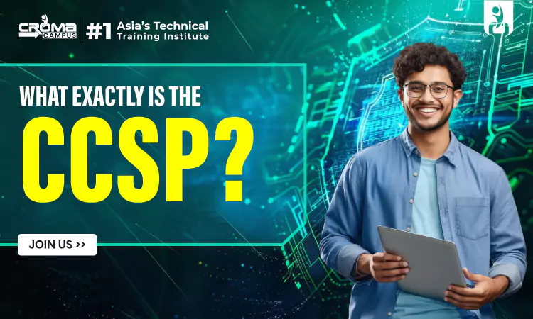 What exactly is the CCSP