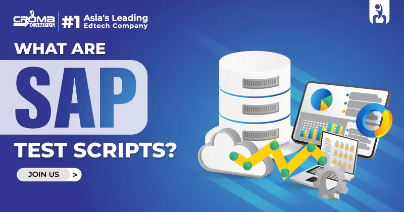 SAP Test Scripts